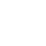 camion